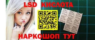 спиды Гай