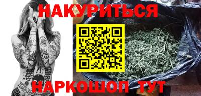 спиды Гай
