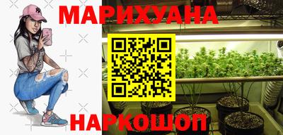 спиды Гай