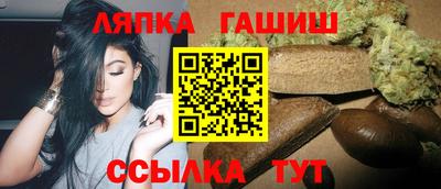 спиды Гай