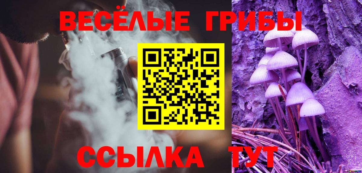 Галлюциногенные грибы Magic Shrooms  Псилоцибиновые грибы Psilocybe  Вход с VPN  купить наркоту  Ростов Великий 