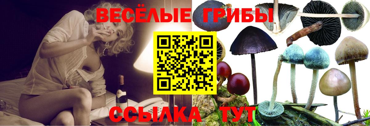 Галлюциногенные грибы мицелий Ростов Великий